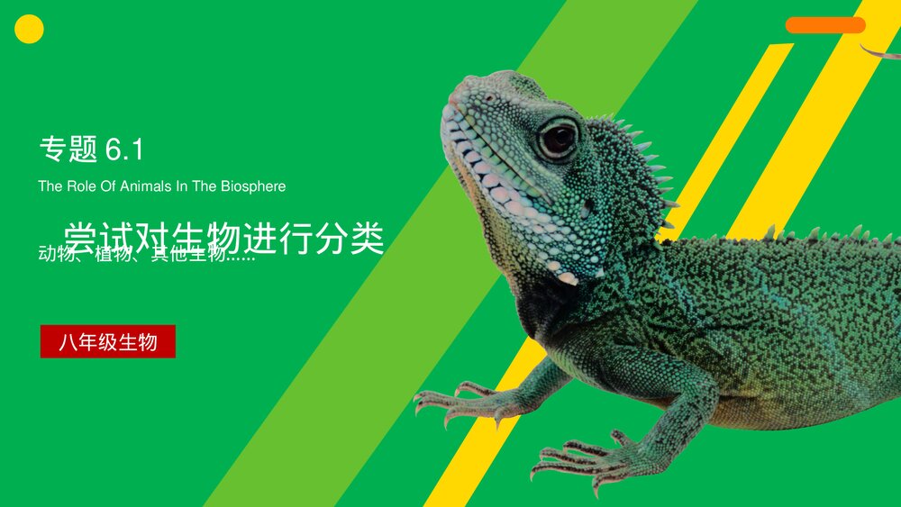 八年级生物上册《尝试对生物进行分类》PPT课件(第6.1.1课时)1