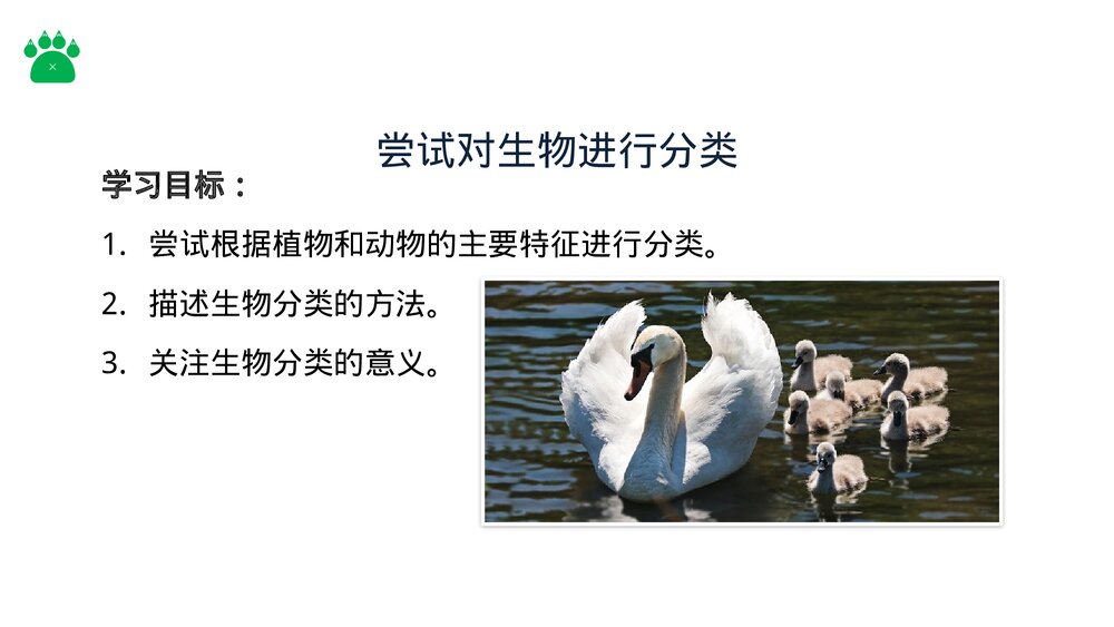 八年级生物上册《尝试对生物进行分类》PPT课件(第6.1.1课时)2