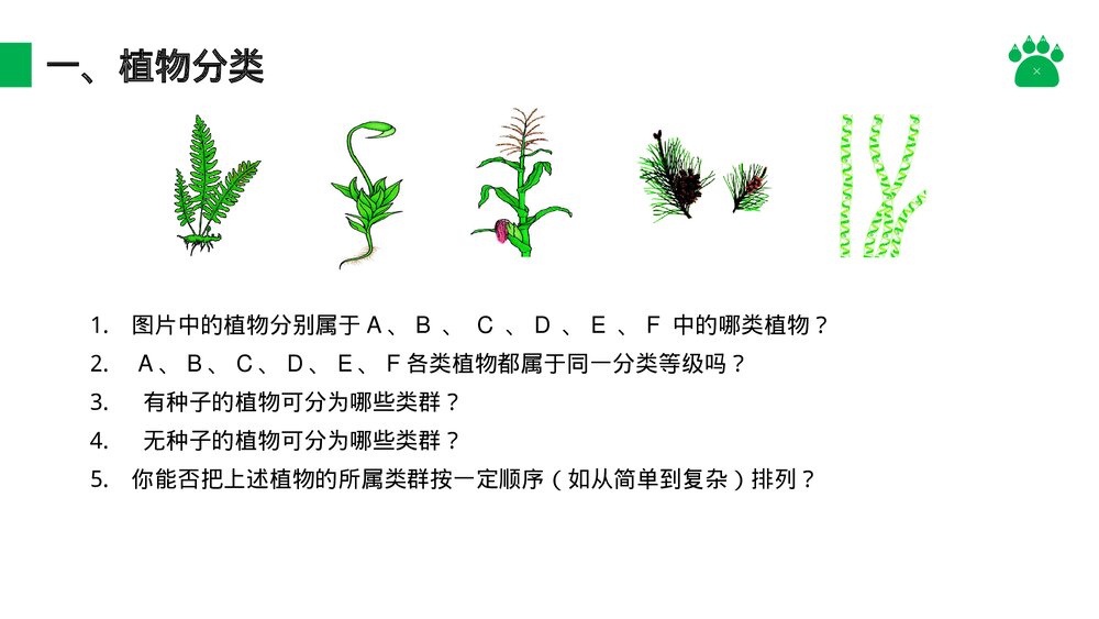 八年级生物上册《尝试对生物进行分类》PPT课件(第6.1.1课时)8