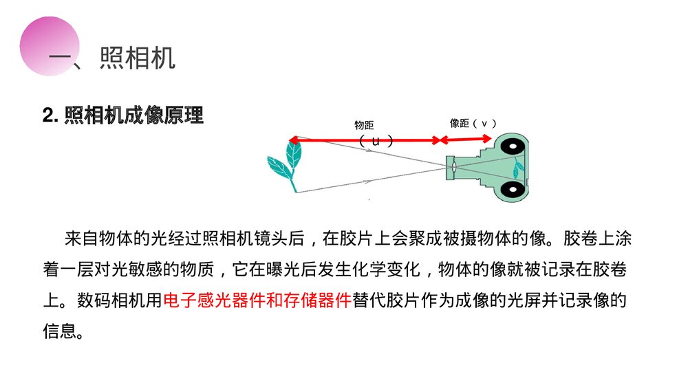 人教版八年级物理上册《生活中的透镜》教学PPT课件7