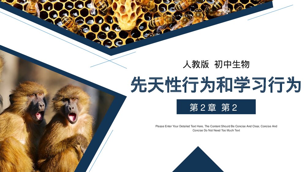 人教版八年级生物上册《先天性行为和学习行为》PPT课件(第5.2.2课时)1