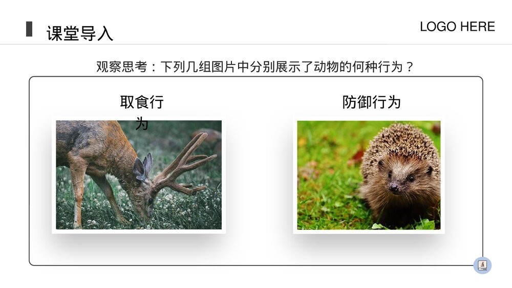 人教版八年级生物上册《先天性行为和学习行为》PPT课件(第5.2.2课时)3