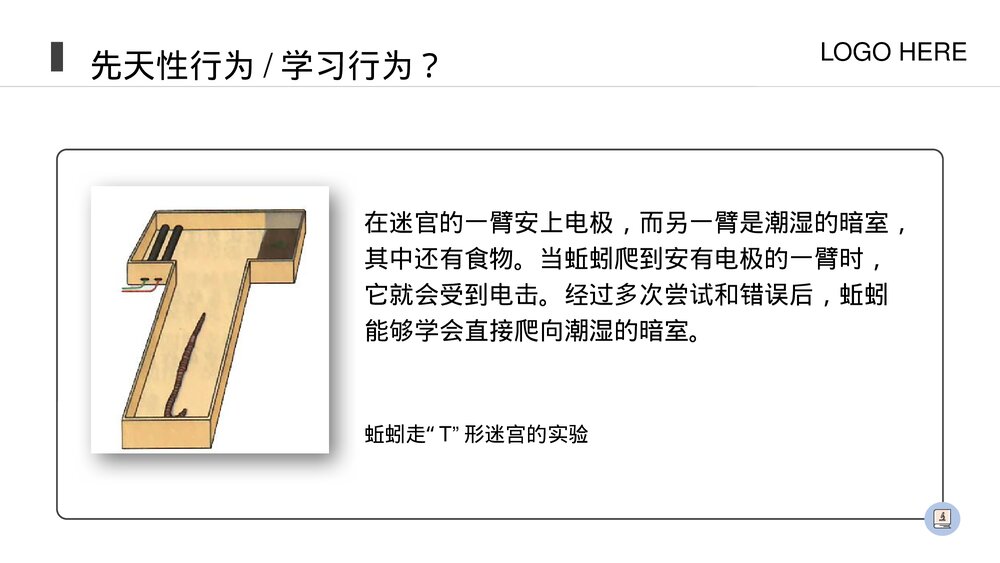 人教版八年级生物上册《先天性行为和学习行为》PPT课件(第5.2.2课时)8