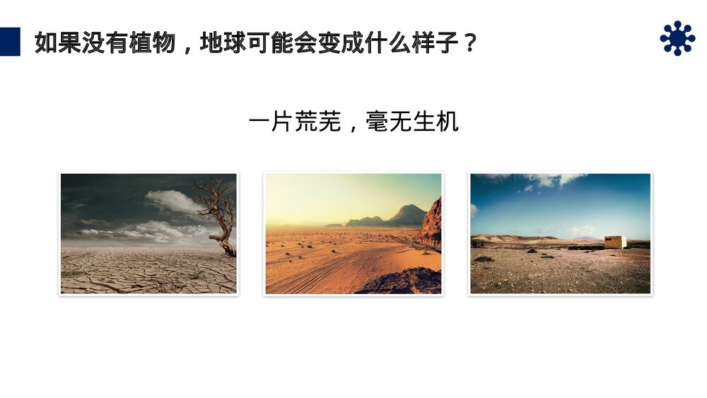 八年级生物上册《细菌和真菌在自然界中的作用》PPT课件(第5.4.4课时)3