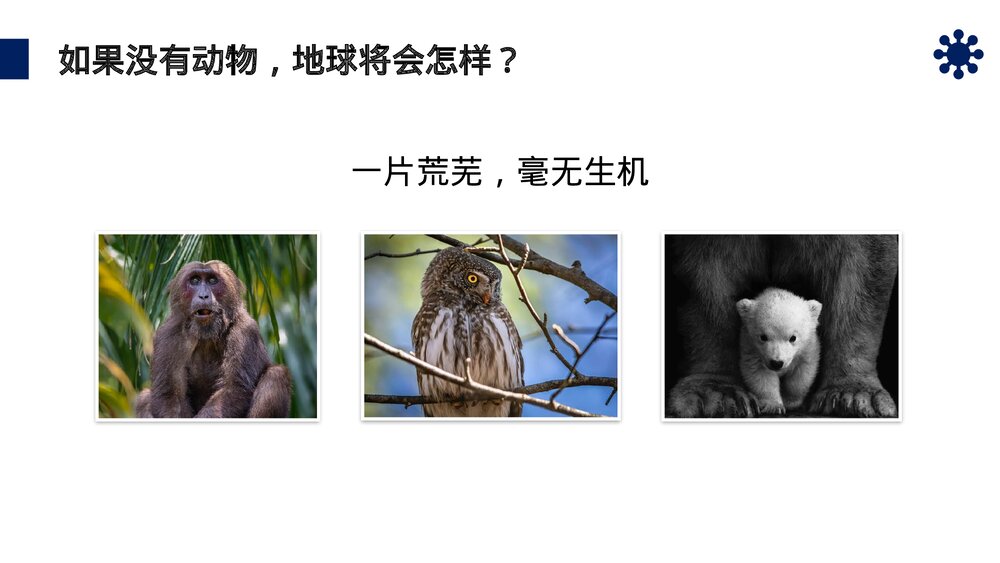 八年级生物上册《细菌和真菌在自然界中的作用》PPT课件(第5.4.4课时)4