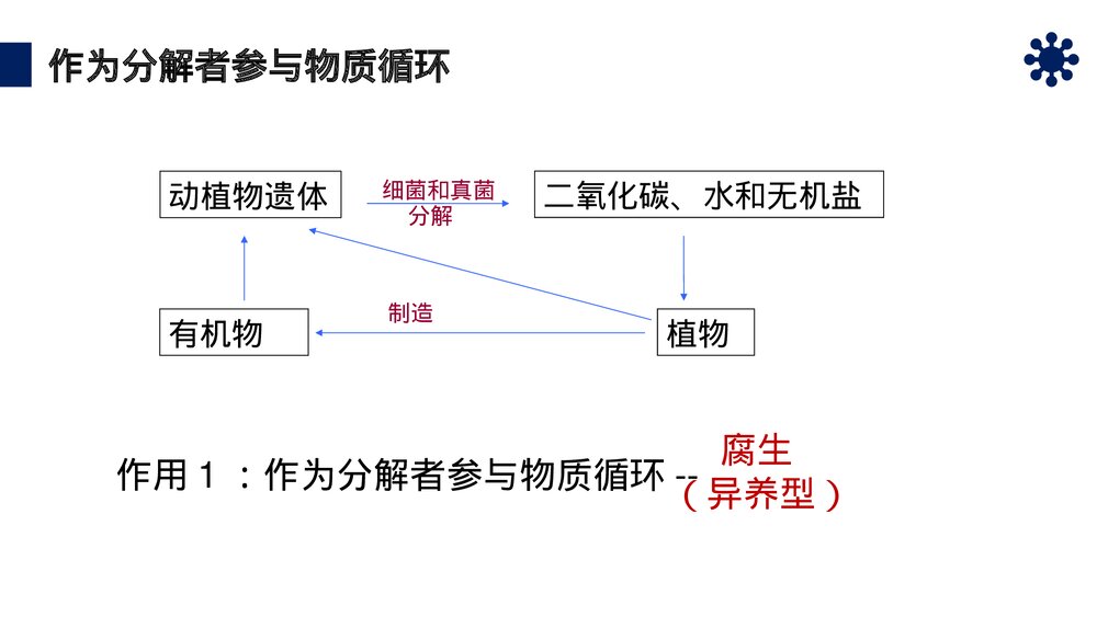 八年级生物上册《细菌和真菌在自然界中的作用》PPT课件(第5.4.4课时)9