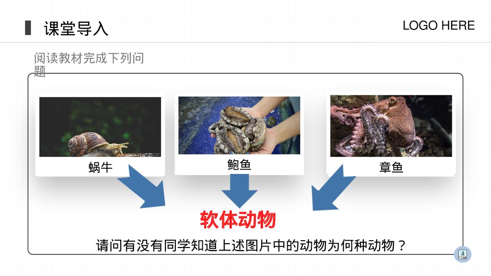 人教版八年级生物上册《软体动物和节肢动物》PPT课件(第5.1.3课时)3