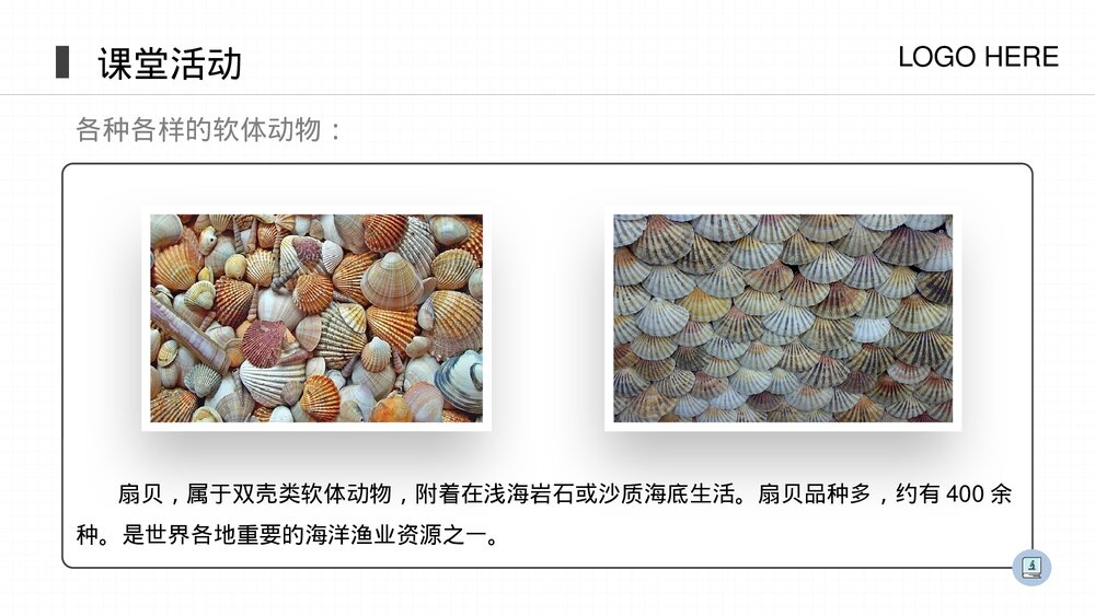 人教版八年级生物上册《软体动物和节肢动物》PPT课件(第5.1.3课时)5