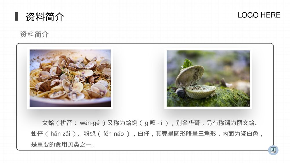 人教版八年级生物上册《软体动物和节肢动物》PPT课件(第5.1.3课时)6