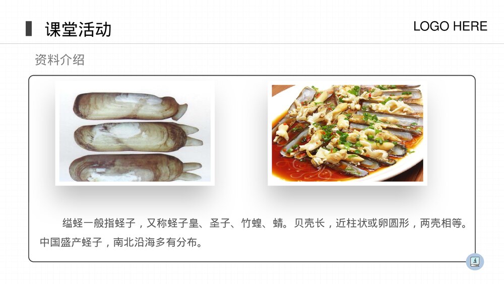 人教版八年级生物上册《软体动物和节肢动物》PPT课件(第5.1.3课时)7