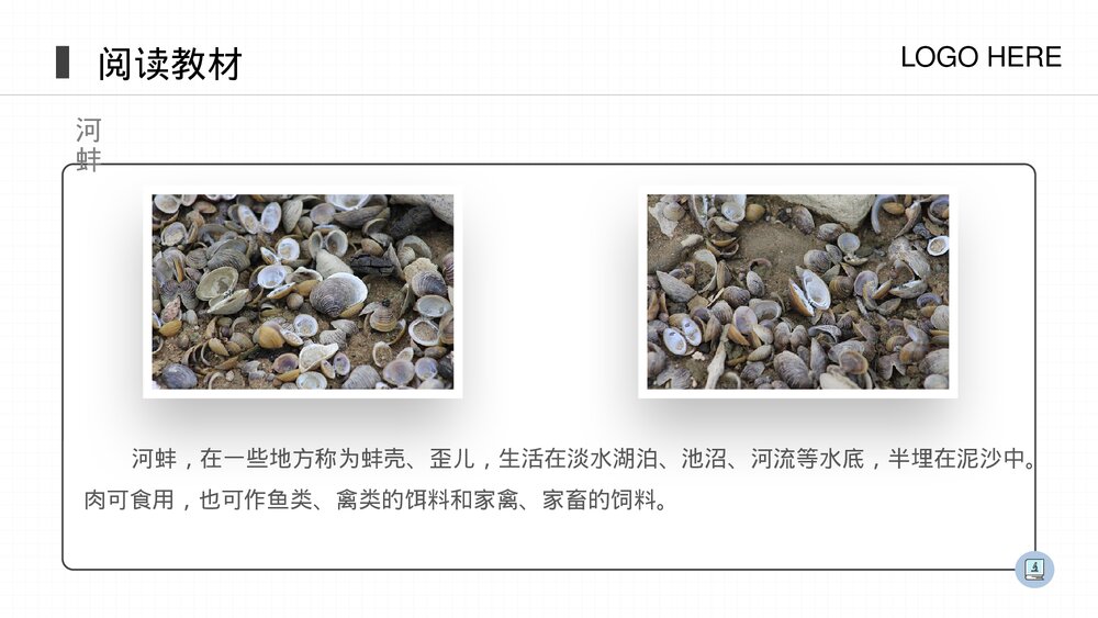 人教版八年级生物上册《软体动物和节肢动物》PPT课件(第5.1.3课时)8