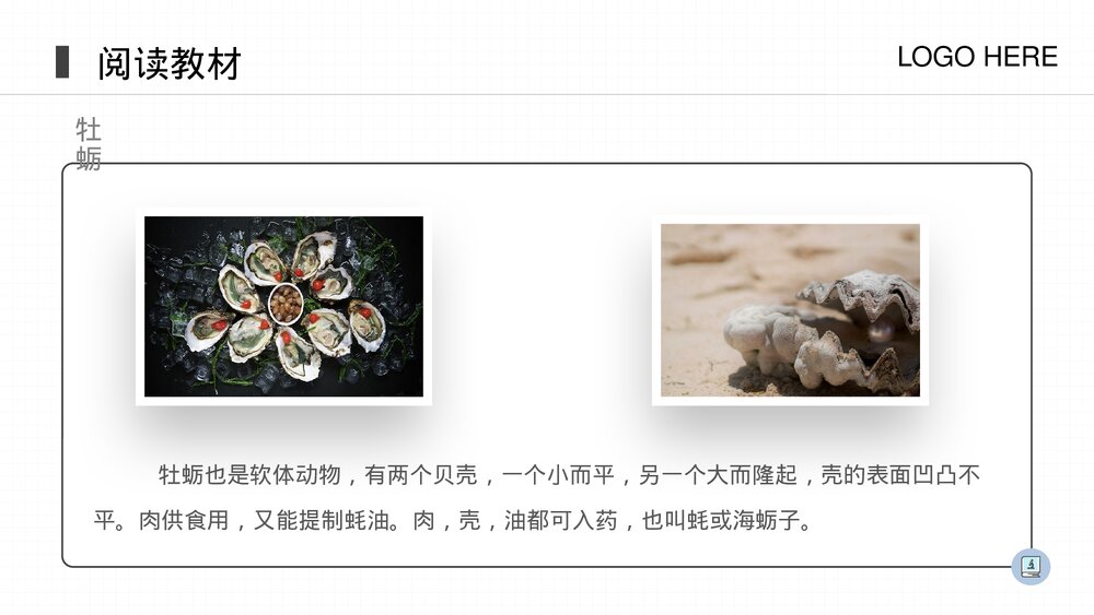 人教版八年级生物上册《软体动物和节肢动物》PPT课件(第5.1.3课时)9