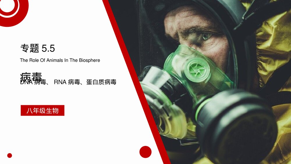 八年级生物上册《病毒》PPT课件(第5.5课时)1