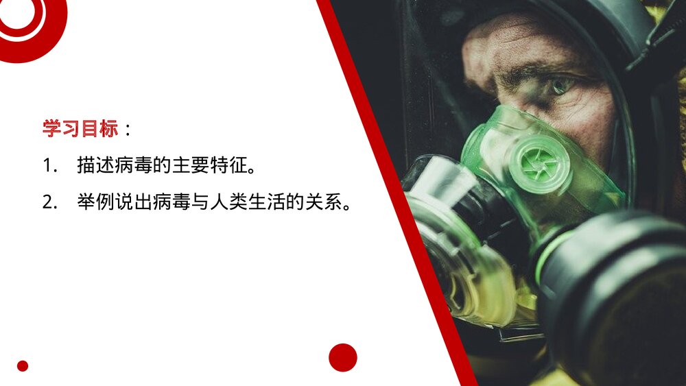 八年级生物上册《病毒》PPT课件(第5.5课时)2