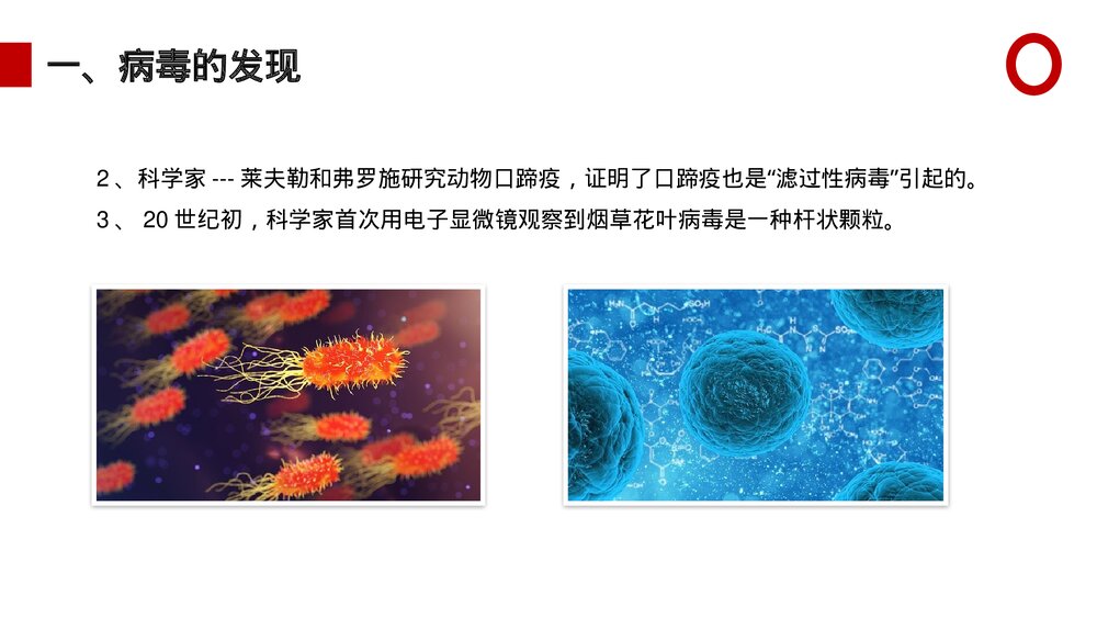 八年级生物上册《病毒》PPT课件(第5.5课时)4
