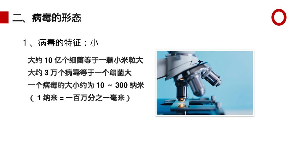八年级生物上册《病毒》PPT课件(第5.5课时)5
