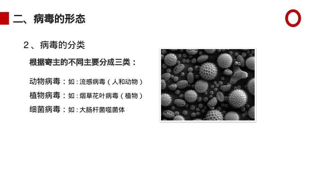 八年级生物上册《病毒》PPT课件(第5.5课时)6
