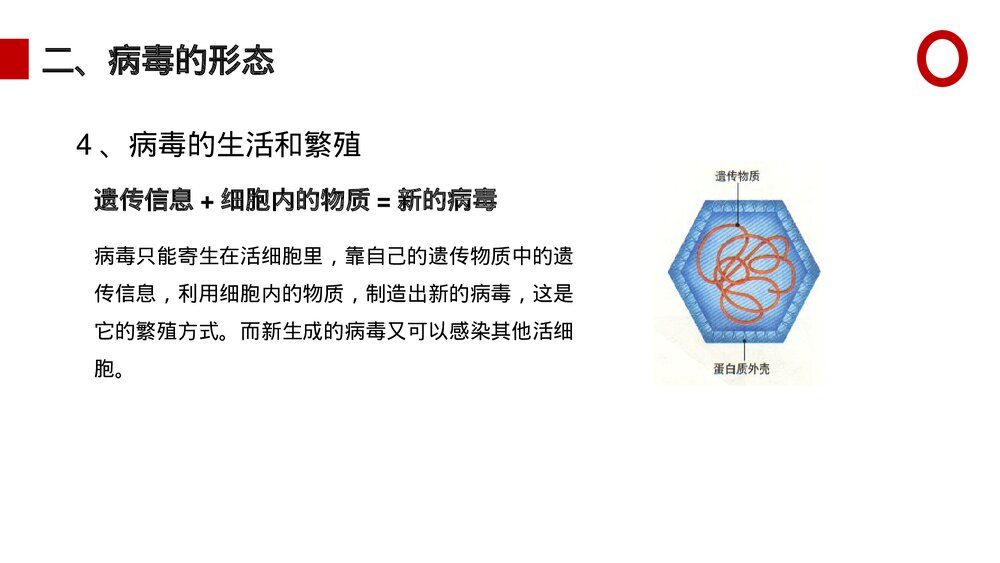 八年级生物上册《病毒》PPT课件(第5.5课时)8