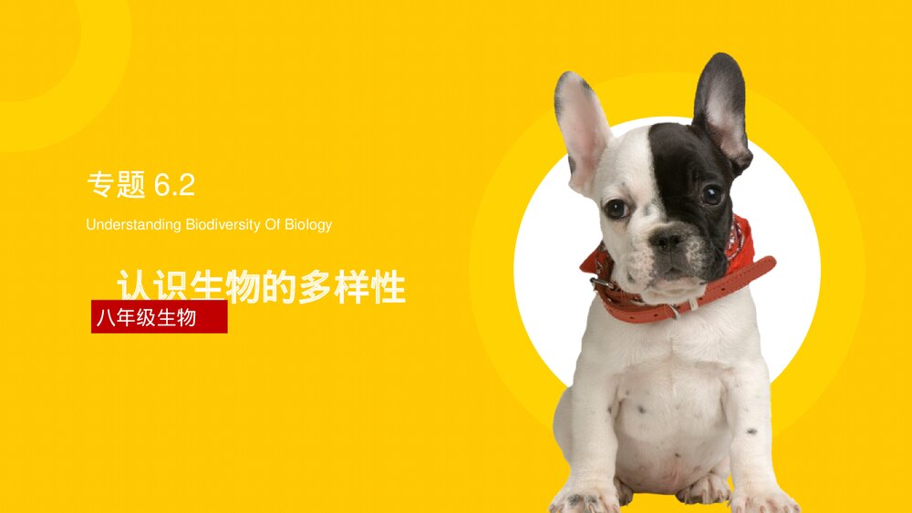 八年级生物上册《认识生物的多样性》PPT课件(第6.3课时)1