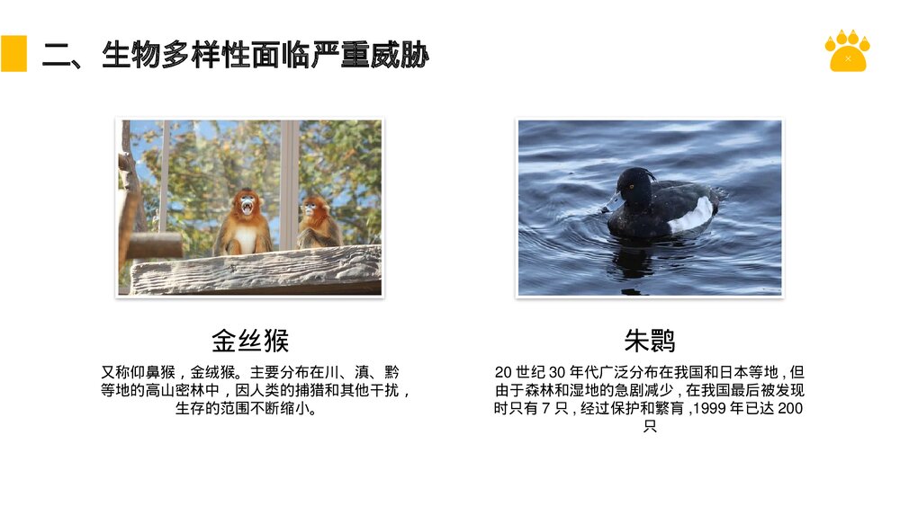 八年级生物上册《认识生物的多样性》PPT课件(第6.3课时)5