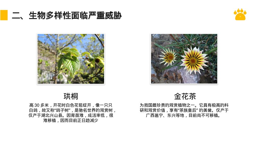 八年级生物上册《认识生物的多样性》PPT课件(第6.3课时)7