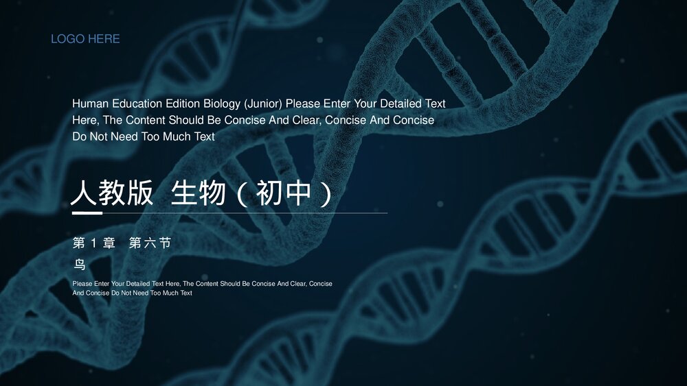 人教版八年级生物上册《鸟》PPT课件(第5.1.6课时)1