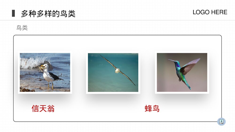 人教版八年级生物上册《鸟》PPT课件(第5.1.6课时)4