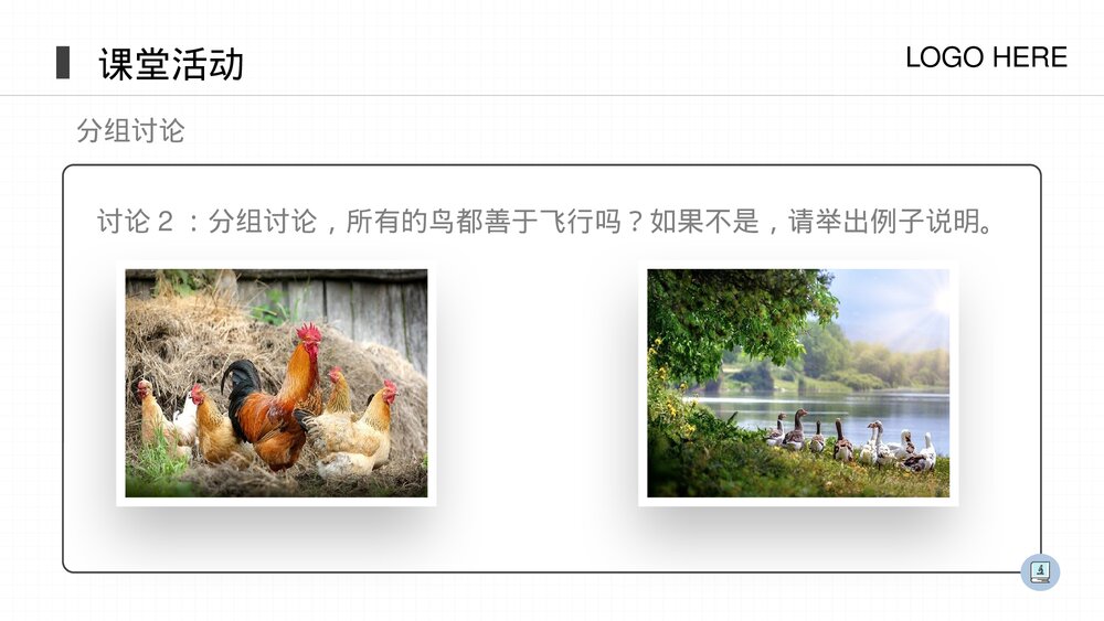 人教版八年级生物上册《鸟》PPT课件(第5.1.6课时)7