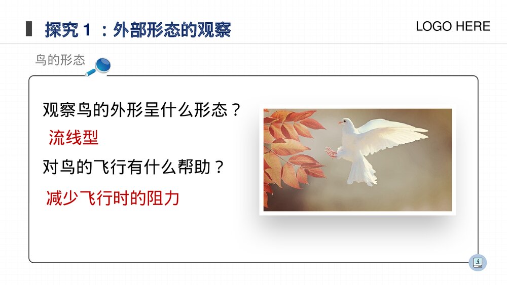 人教版八年级生物上册《鸟》PPT课件(第5.1.6课时)9