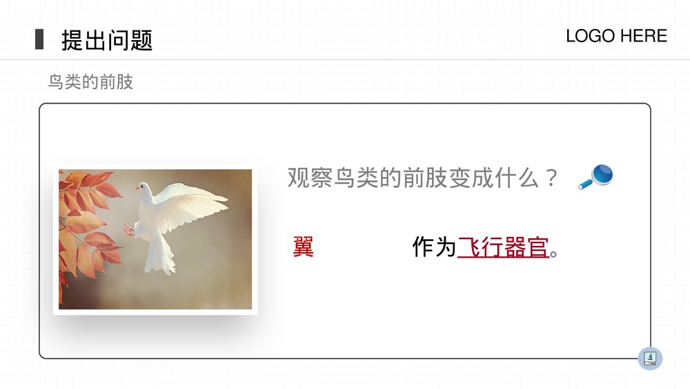 人教版八年级生物上册《鸟》PPT课件(第5.1.6课时)10