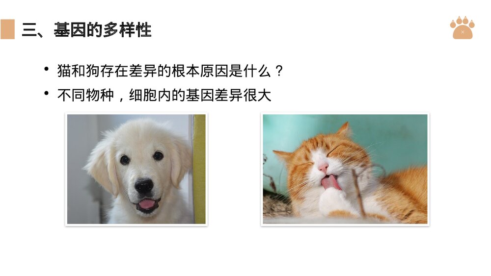 八年级生物上册《认识生物的多样性》PPT课件(第6.2课时)10