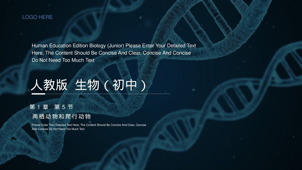 人教版八年级生物上册《两栖动物和爬行动物》PPT课件(第5.1.5课时)1