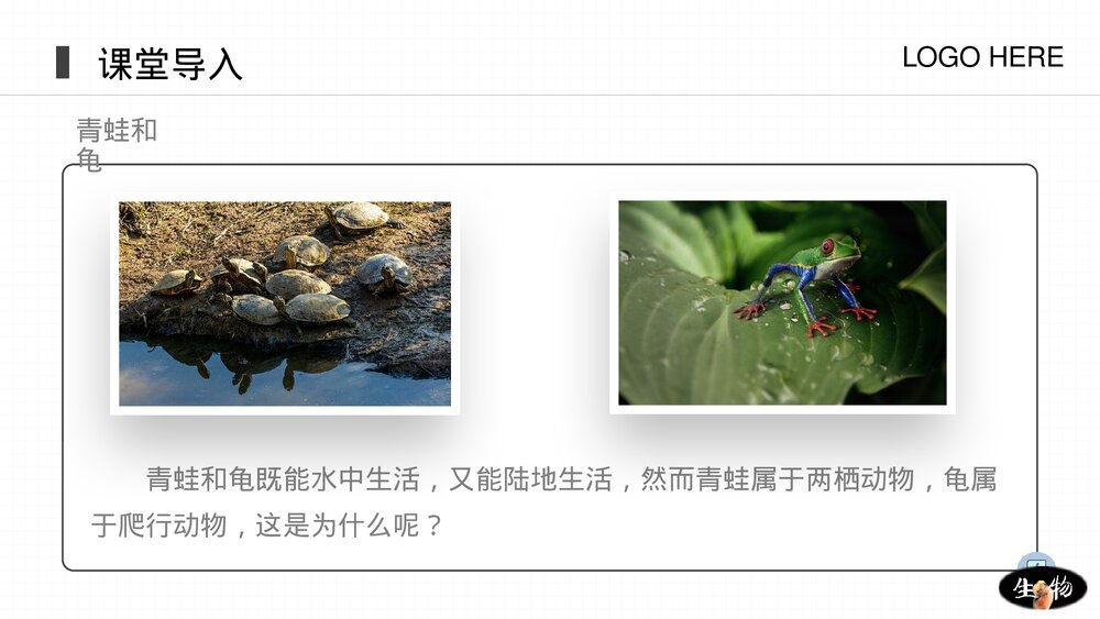 人教版八年级生物上册《两栖动物和爬行动物》PPT课件(第5.1.5课时)3