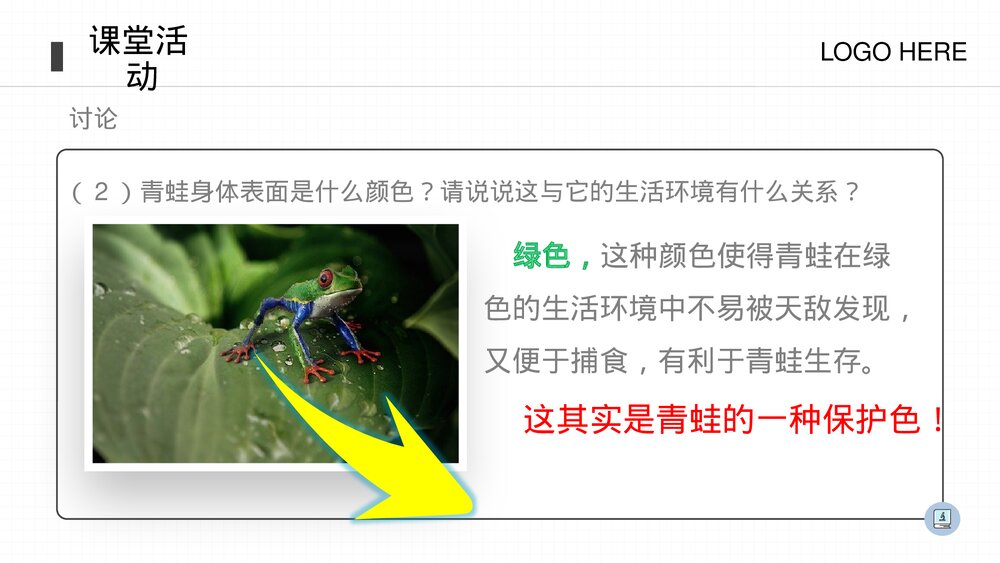 人教版八年级生物上册《两栖动物和爬行动物》PPT课件(第5.1.5课时)6