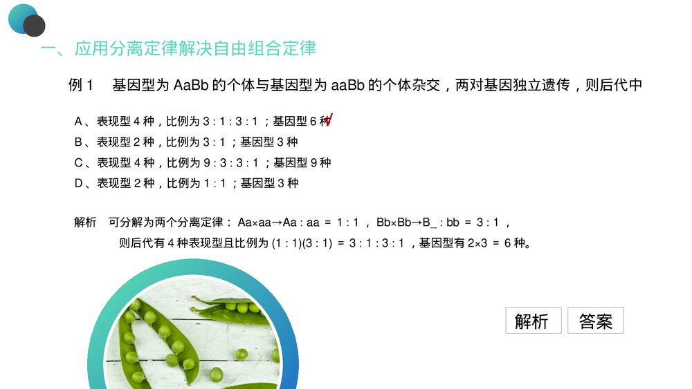 高一下册生物必修二《豌豆杂交实验》PPT课件(第1.2课时)2