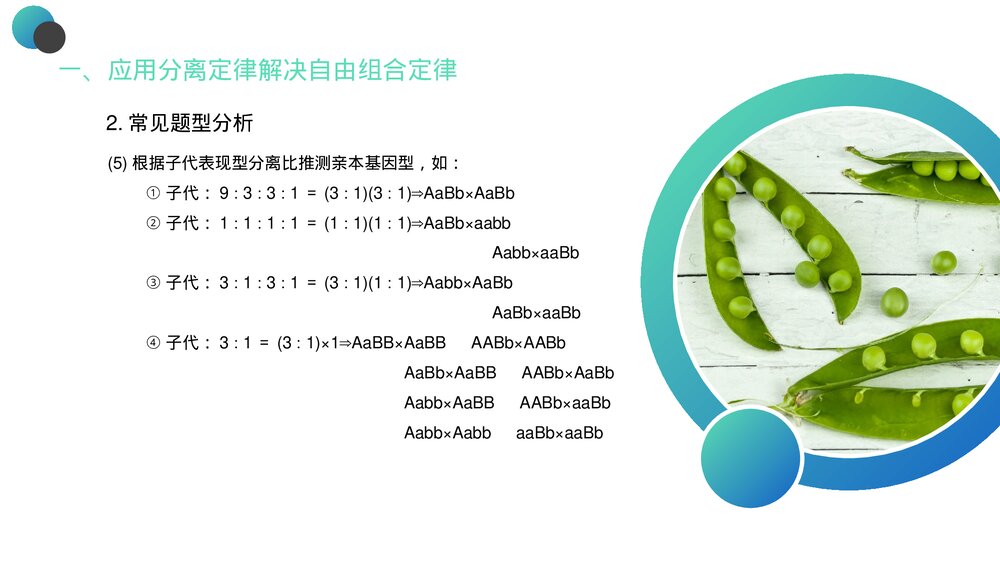 高一下册生物必修二《豌豆杂交实验》PPT课件(第1.2课时)5