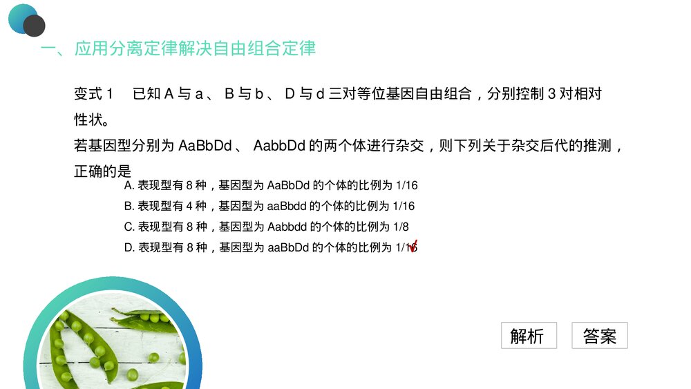 高一下册生物必修二《豌豆杂交实验》PPT课件(第1.2课时)6