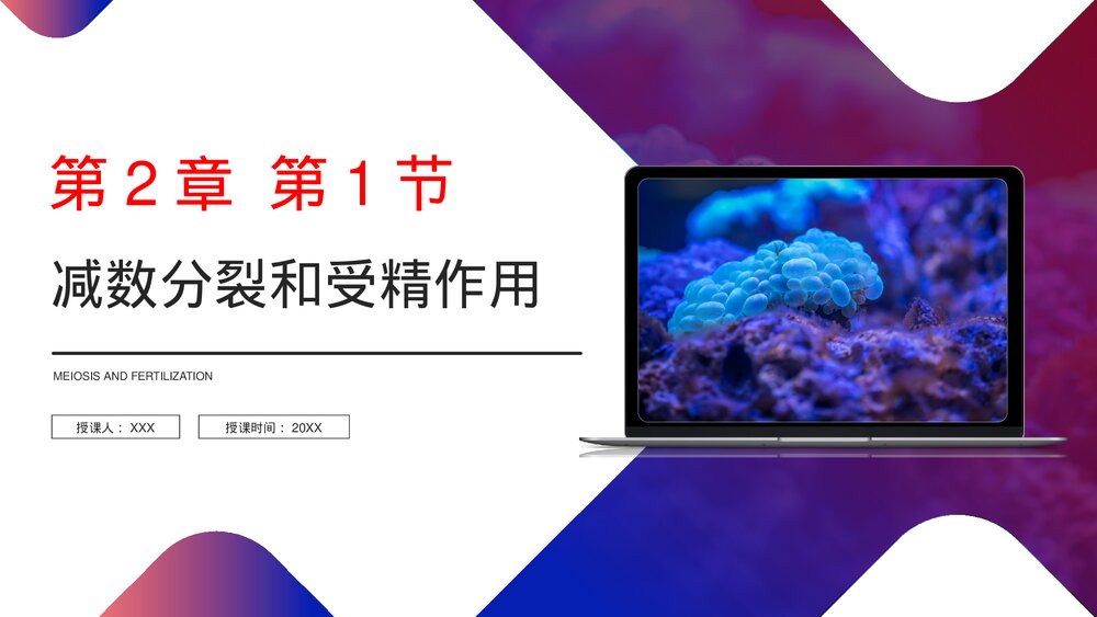 高一下册生物必修二《减数分裂和受精作用》PPT课件(第2.1.1课时)1