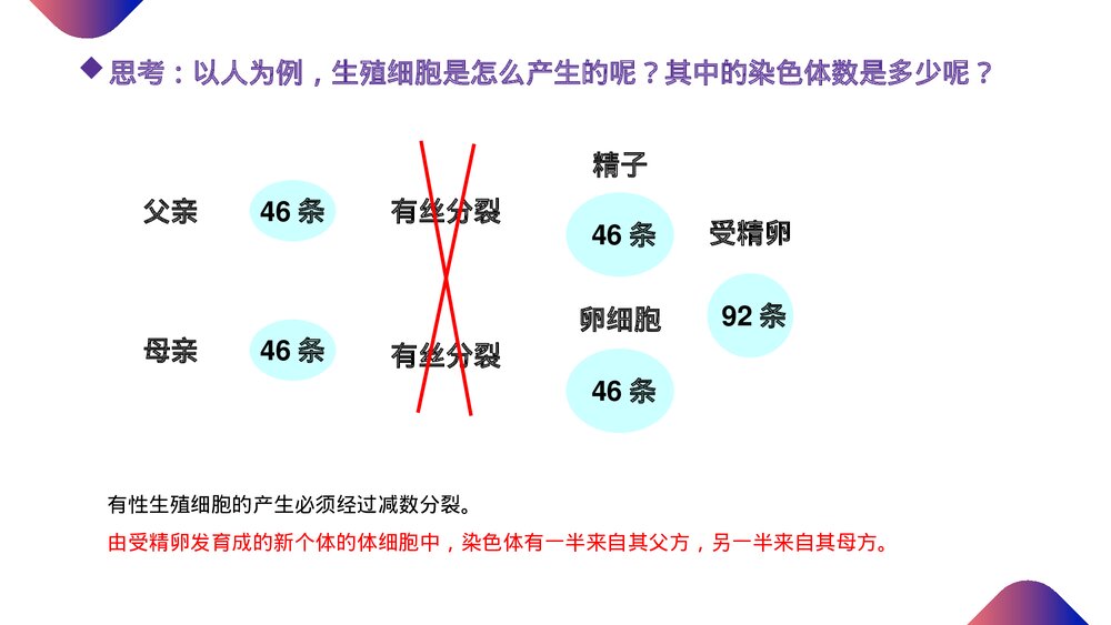 高一下册生物必修二《减数分裂和受精作用》PPT课件(第2.1.1课时)3