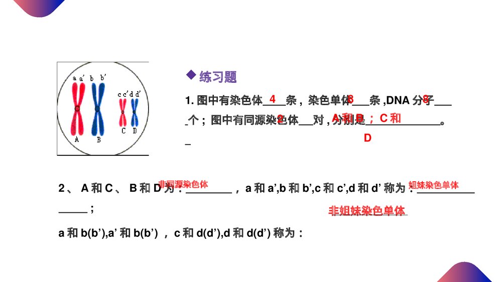 高一下册生物必修二《减数分裂和受精作用》PPT课件(第2.1.1课时)8