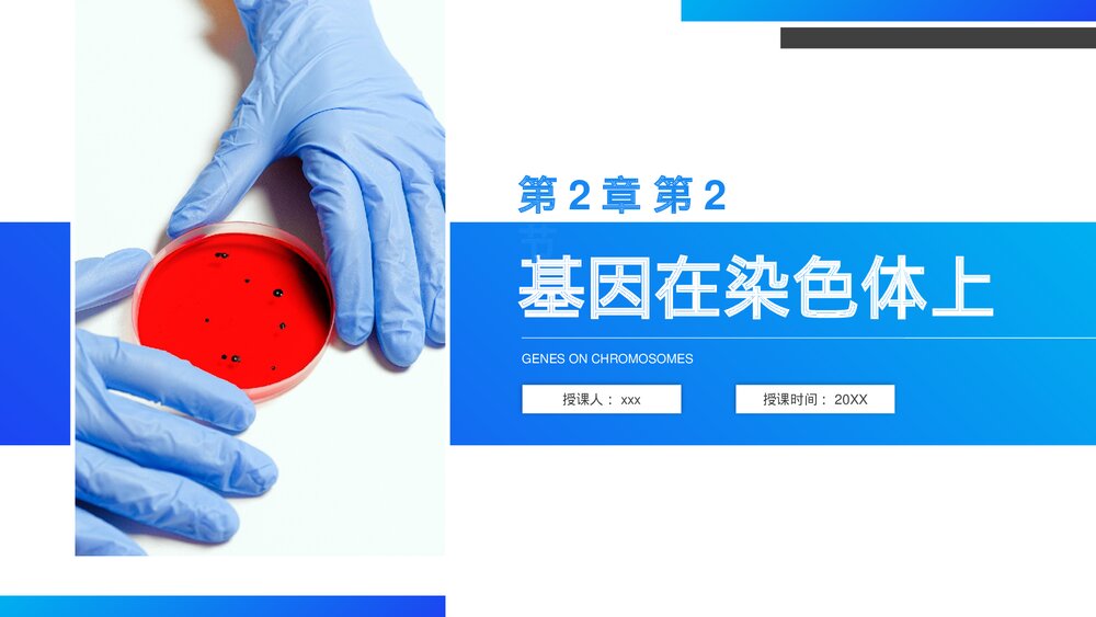 高一下册生物必修二《基因在染色体上》PPT课件(第2.2课时)1