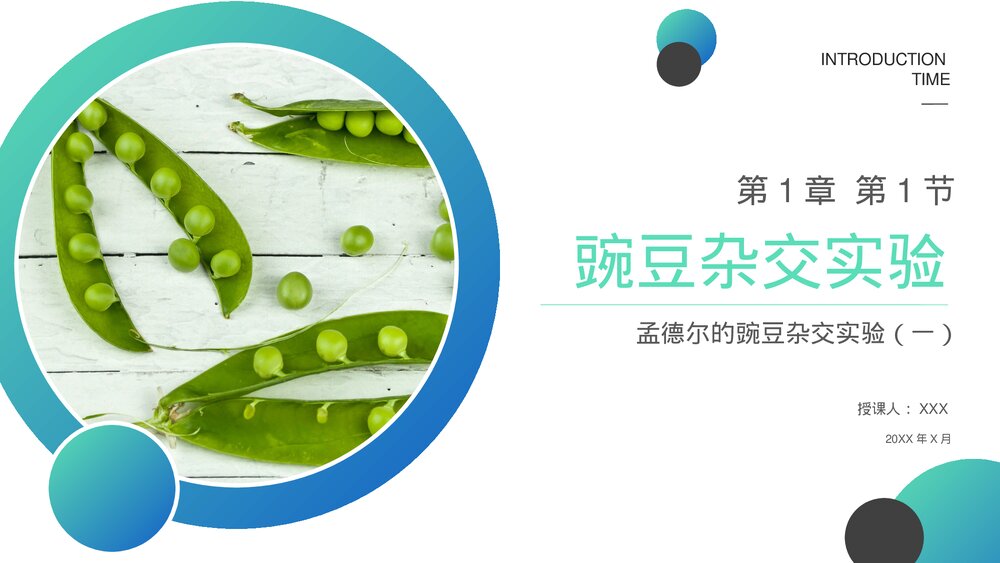 高一下册生物必修二《豌豆杂交实验》PPT课件(第1.1课时)1