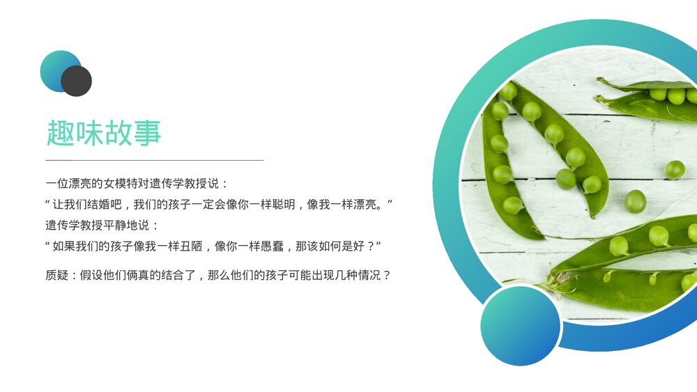 高一下册生物必修二《豌豆杂交实验》PPT课件(第1.1课时)2