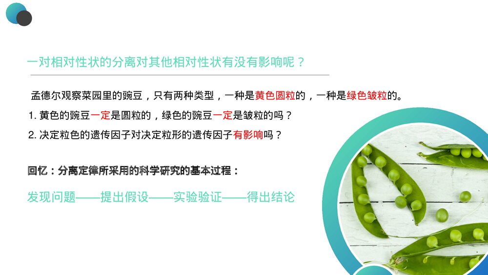 高一下册生物必修二《豌豆杂交实验》PPT课件(第1.1课时)3