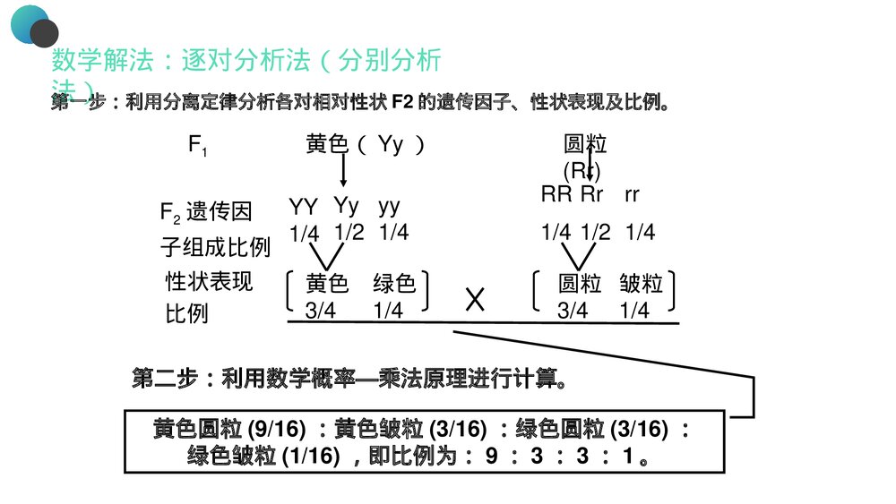 高一下册生物必修二《豌豆杂交实验》PPT课件(第1.1课时)9