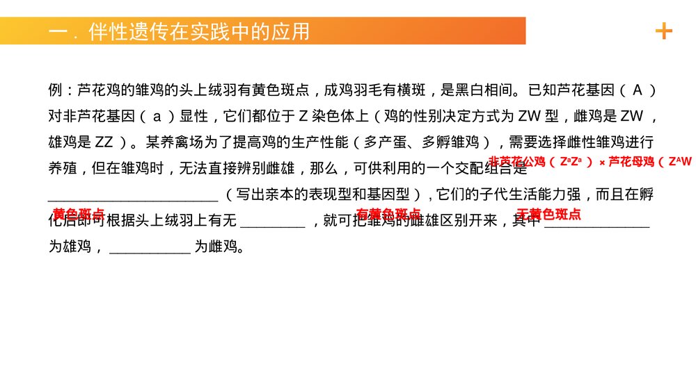 高一下册生物必修二《伴性遗传(2)》PPT课件(第2.3.2课时)3