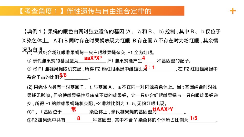 高一下册生物必修二《伴性遗传(2)》PPT课件(第2.3.2课时)7