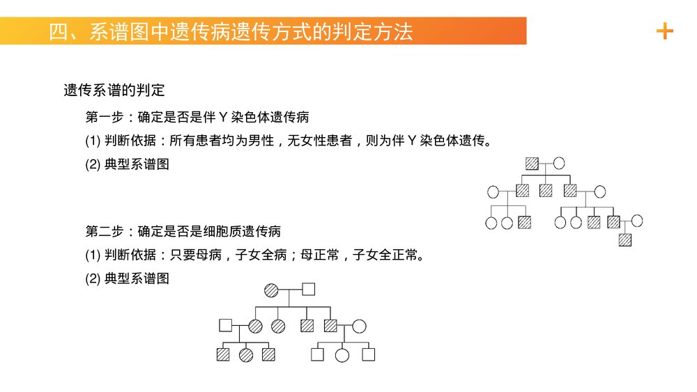 高一下册生物必修二《伴性遗传(2)》PPT课件(第2.3.2课时)10