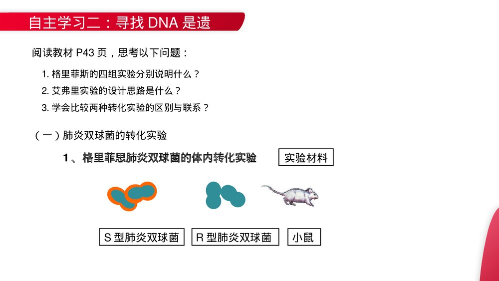 高一下册生物必修二《DNA是主要的遗传物质》PPT课件(第3.1课时)4