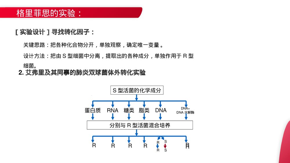 高一下册生物必修二《DNA是主要的遗传物质》PPT课件(第3.1课时)6
